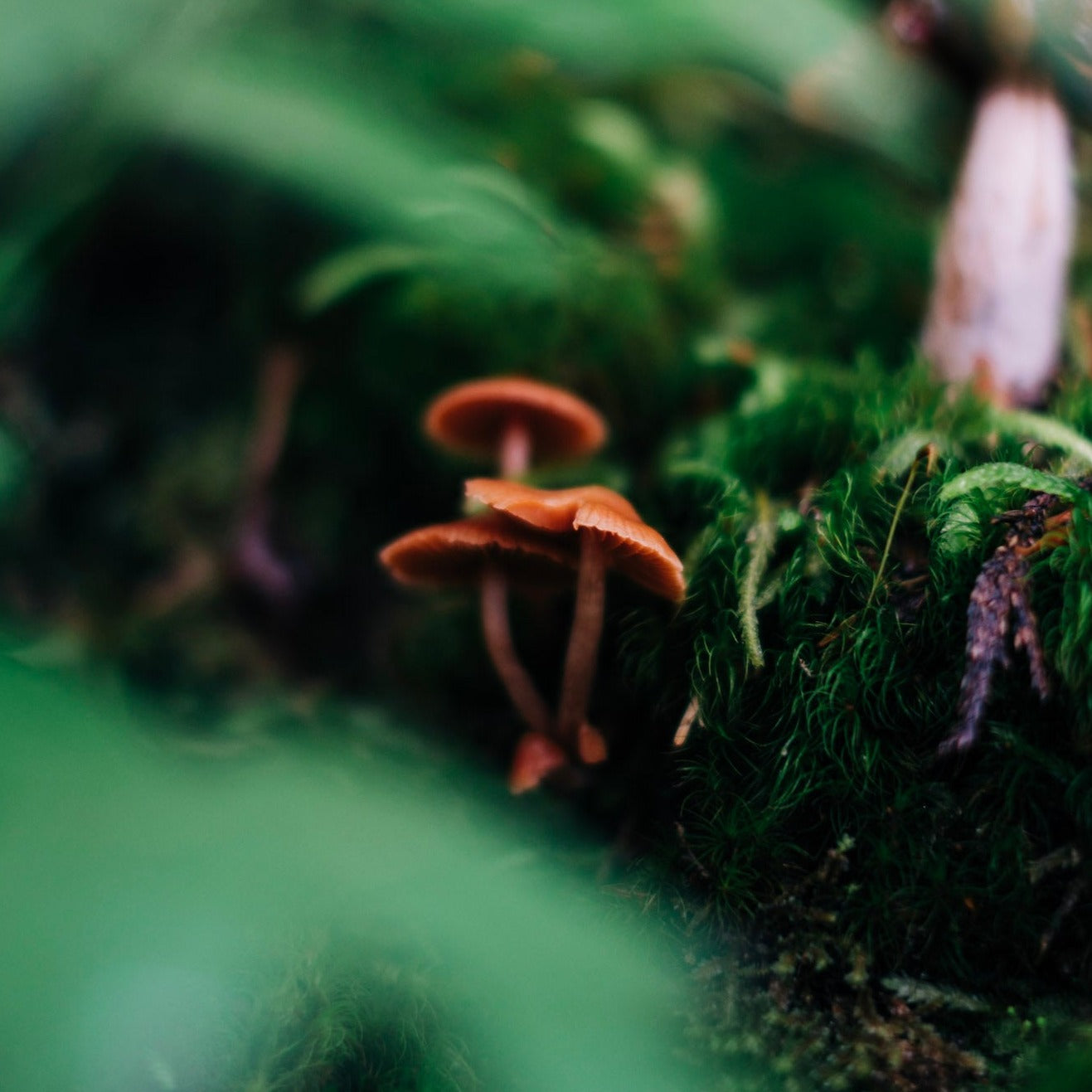 Treasures