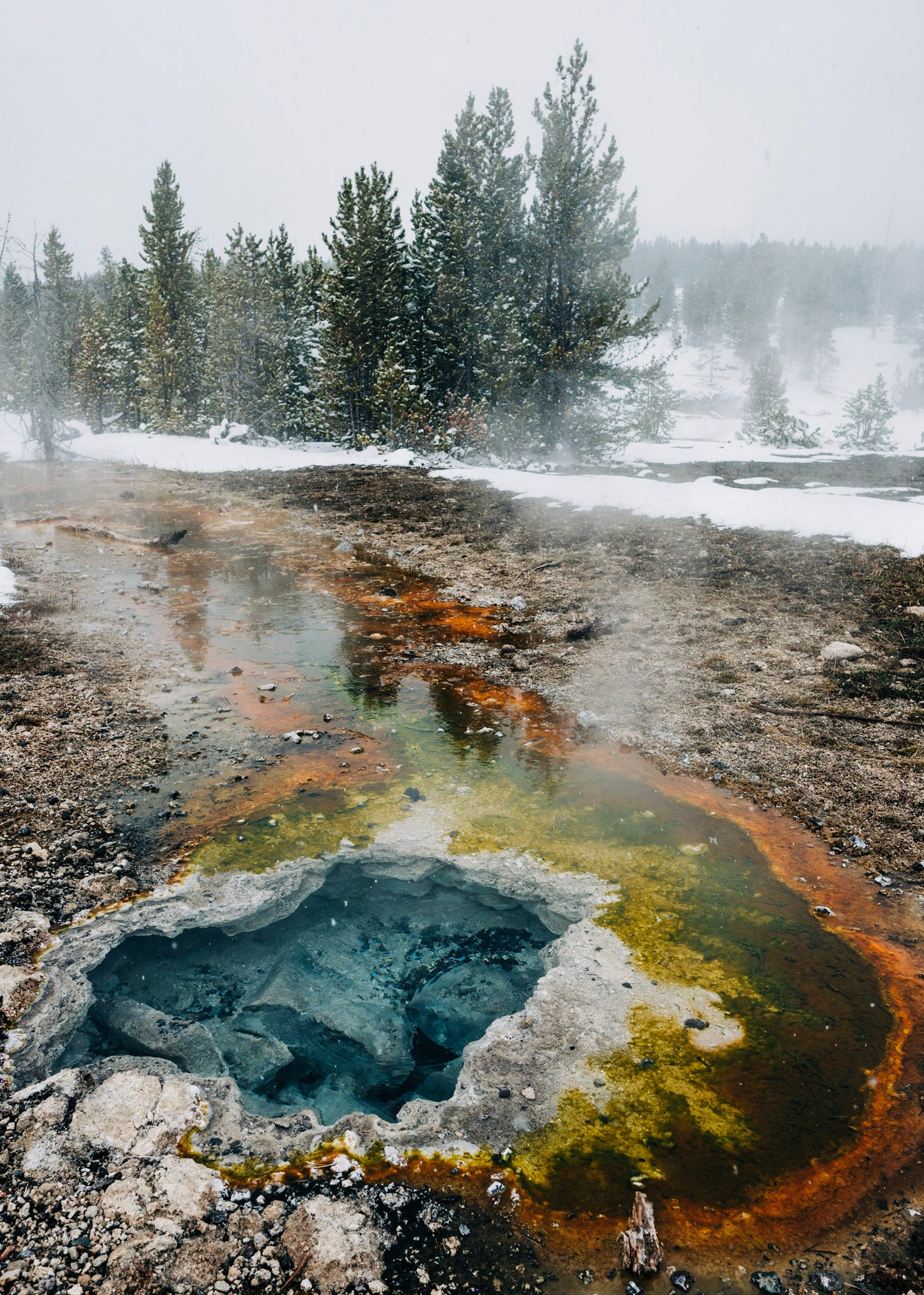 Thermal