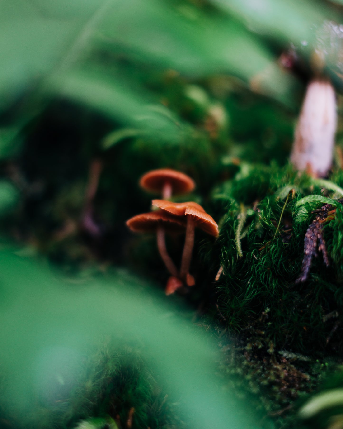 Treasures