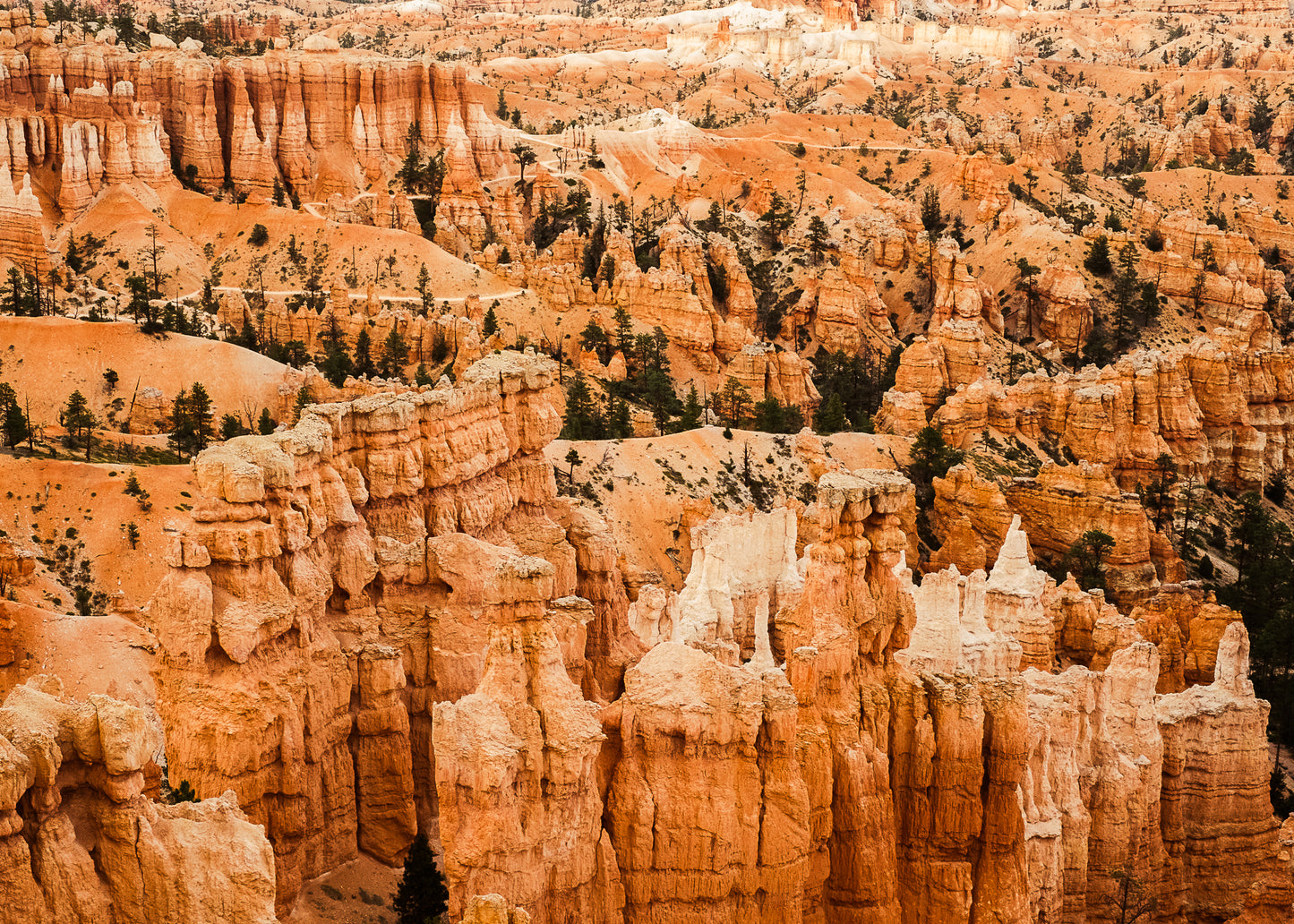 Bryce