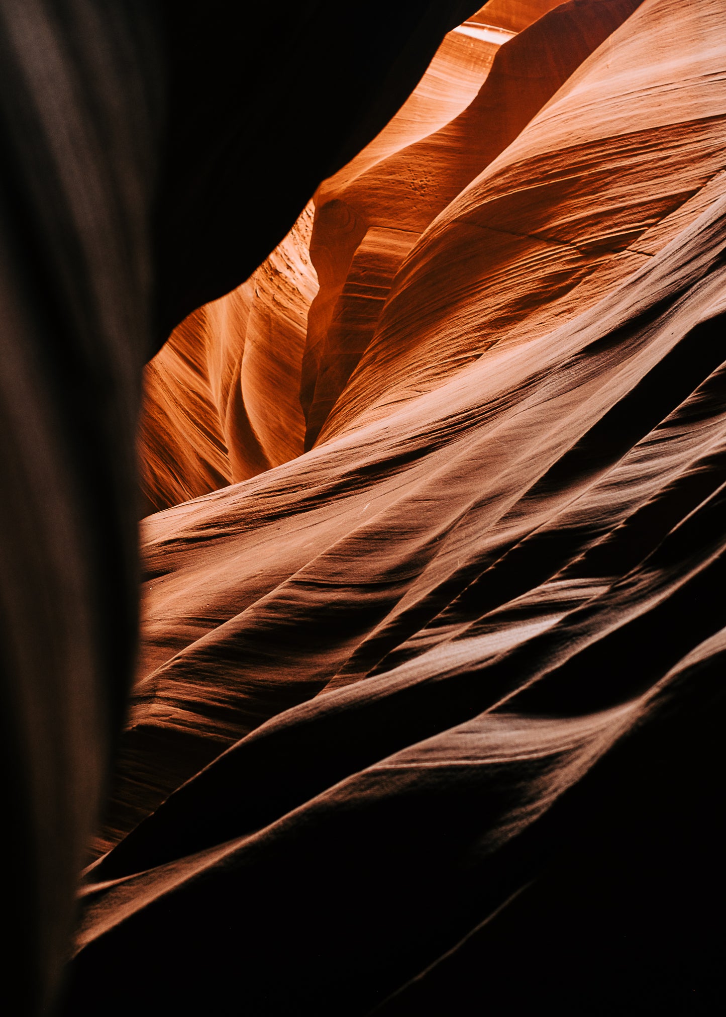 Canyon Waves