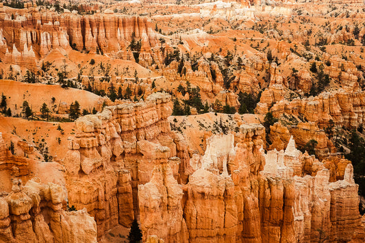 Bryce